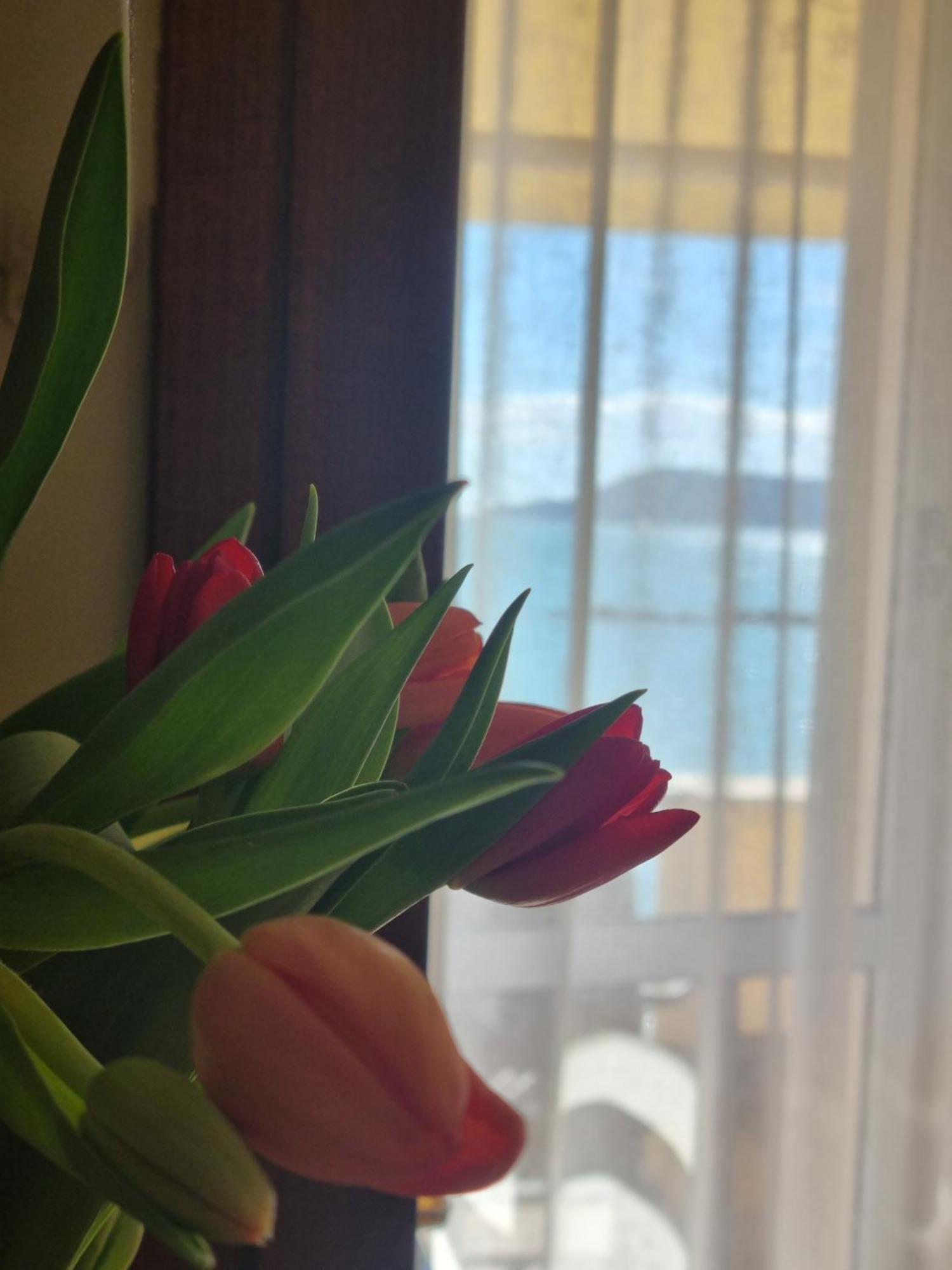 Hotel Florida